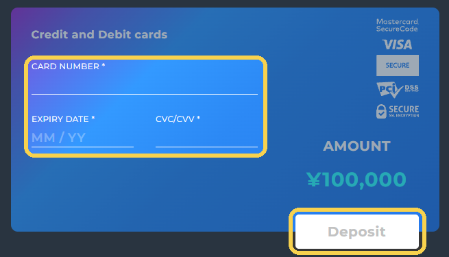 C3：カード番号・有効期限・セキュリティコードとDepositの位置。入力前の画面です